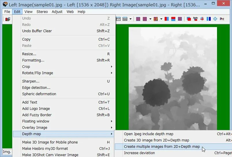Depth mapping. Stereo depth map. программа создание depth map. depth map automatic creator. depth map face.