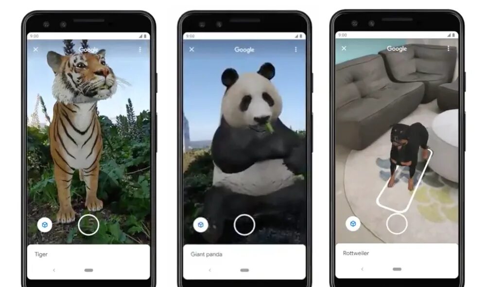 Животные в реальности. Дополненная реальность животные. Дополненная реальность гугл животные. Тигр дополненная реальность. Приложения с животными.