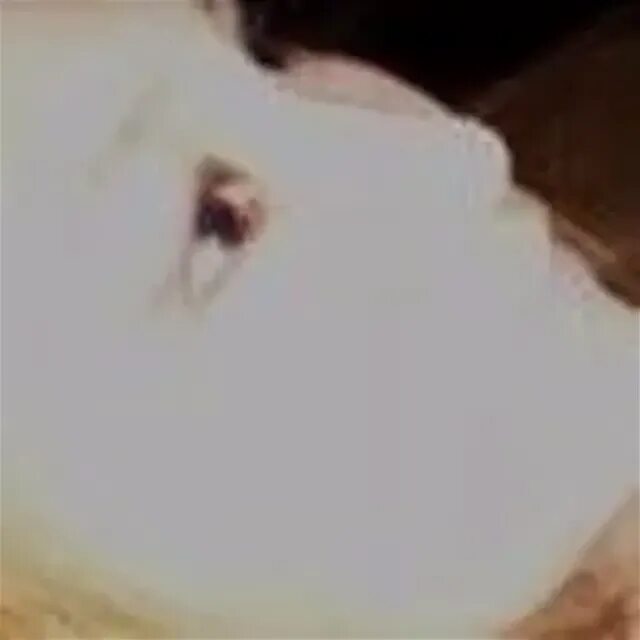 Summy батурина. Summy батурина. Summy батурина. Summy батурина. Summy батурина.