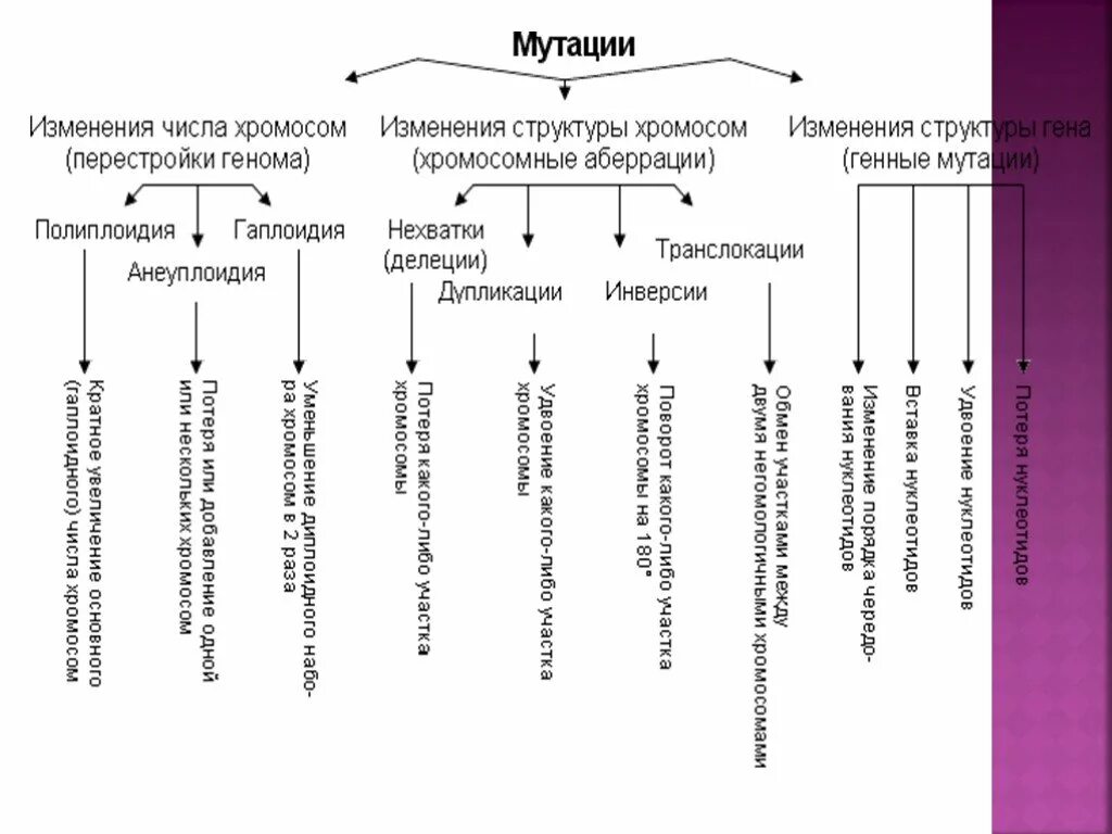 Мутационное изменение организма. Классификация мутаций генные хромосомные геномные таблица. Классификация геномных мутаций таблица. Схема классификации мутаций хромосомные геномные. Изменчивость генная геномная хромосомная.