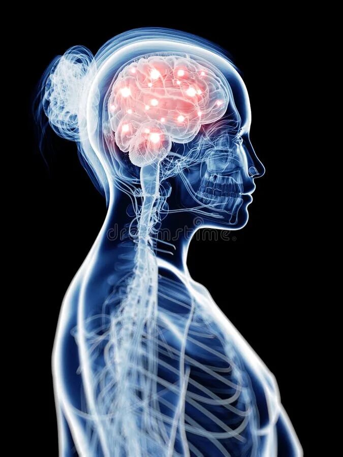Brain the action