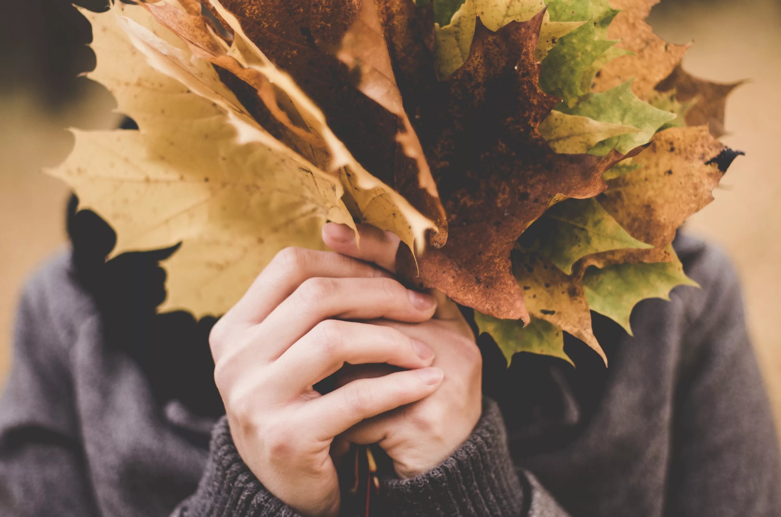 Осенние листья в руках. Лист в руке. Осенняя хандра. Человек и осенние листья. Осеннее богатство