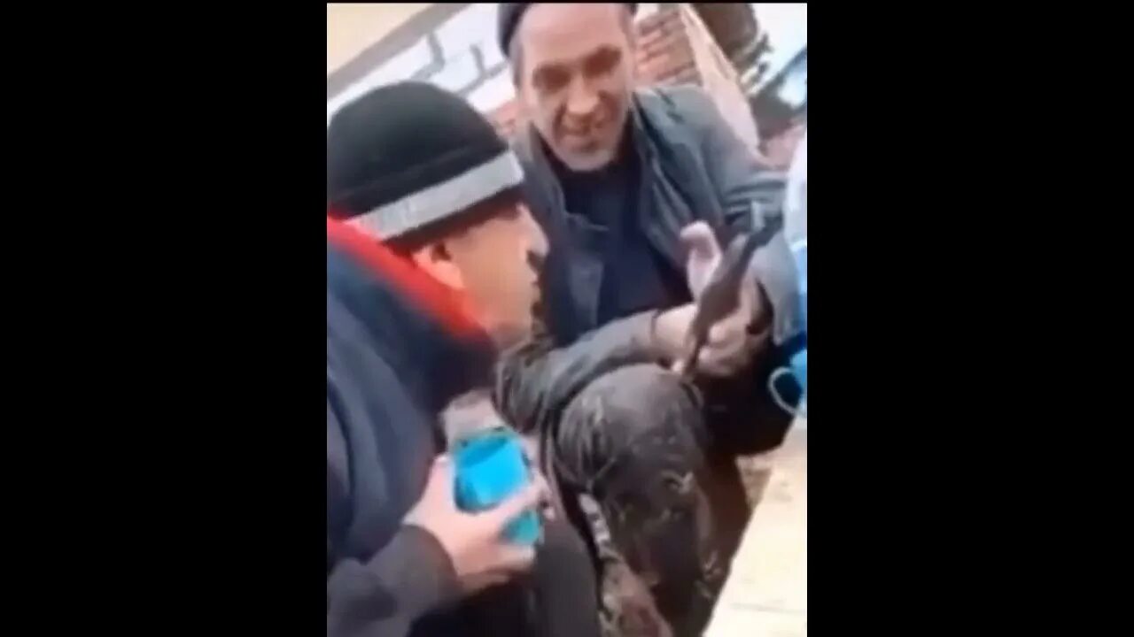 Алиса какое сегодня число видео. Алиса какое сегодня число видео