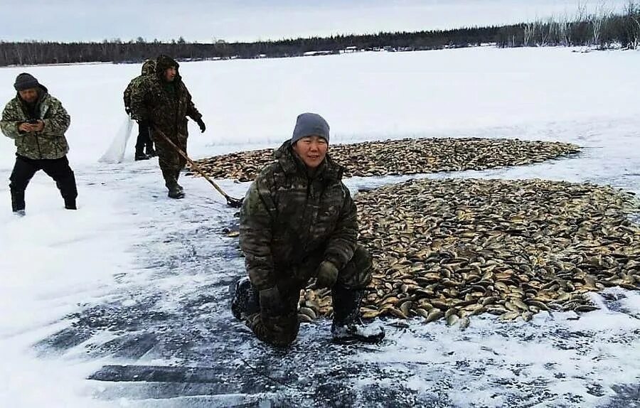 Мунха в Якутии. Рыбалка Саха Якутия. Рыбалка в Якутии зимой. Карась Кобяйский Якутия.