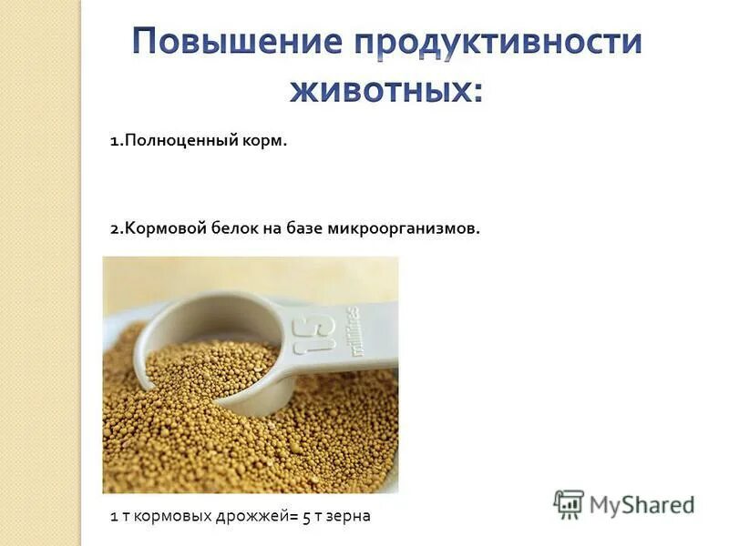 Продуктивность сельскохозяйственных животных. Биотехнологии в животноводстве. Пути повышения продуктивности животных. Биотехнологии в животноводстве. Повышение продуктивности животных.