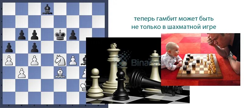 Гамбит в шахматах это. Гамбит в шахматах это