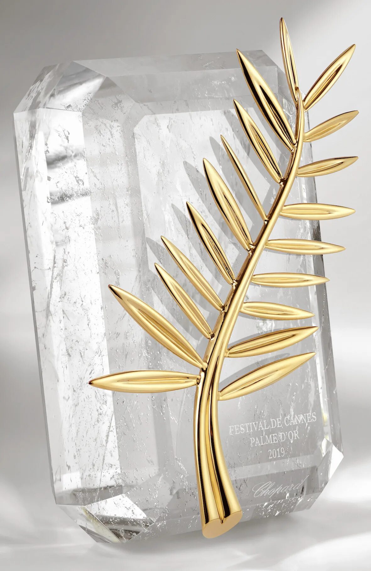 приз "золотая пальмовая ветвь" 1955. канны золотая пальмовая ветвь. кто является режиссером золотой пальмовой ветви. кинопремия золотая пальмовая ветвь. кто является режиссером золотой пальмовой ветви.