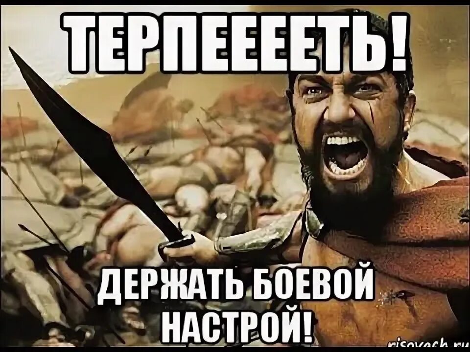 Держись держусь я тоже не вывожу. Да начнется битва Мем. Боевой настрой. Боевое настроение. Боевой настрой картинки.