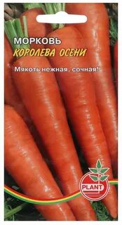 Морковь сорт королева осени отзывы