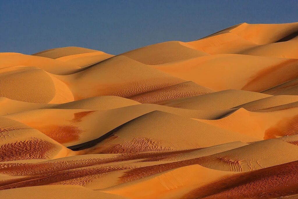 Песчаные дюны, руб-эль хали. Руб эль хали оаэ. Саудовская аравия руб эль хали. Пустыня руб эль хали находится. Саудовская аравия пустыня руб-эль-хали.