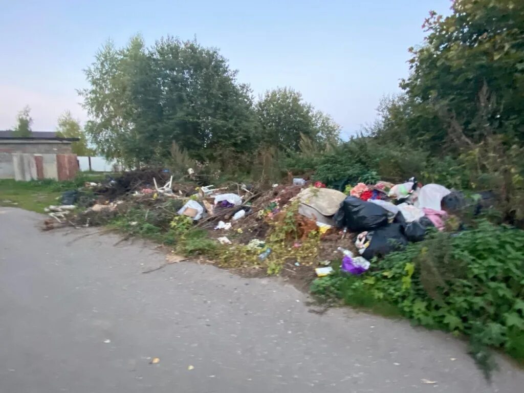 Погода в рузе сегодня. Свалка в деревне Крюково Рузского района. Свалка в Чулково. Село Васильевское Рузского района кладбище свалка. Нестерово Рузский городской округ стройматериалы.