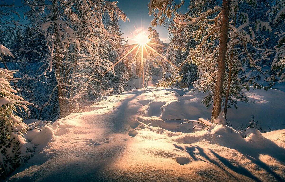 Снежное утро красивые. Зимний пейзаж. Солнце зимой. Зима в лесу. Зима солнце снег.