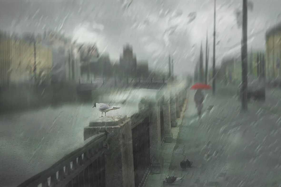 Столица дождей город. Дождь в городе. В нашем городе дождь. Дождь на стене поезд. Фотообои осадки.