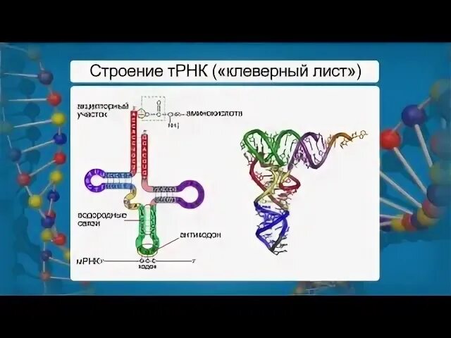 15 строение