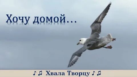 Песня а я хочу домой