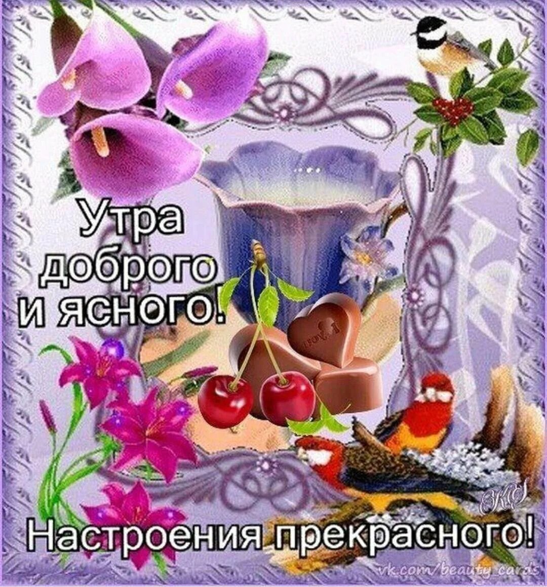 Самого прекрасного утра и дня открытки