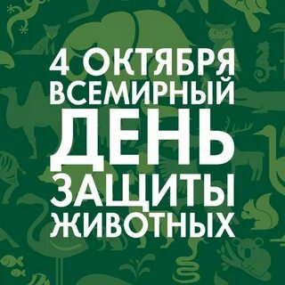 4 октября 2015 г