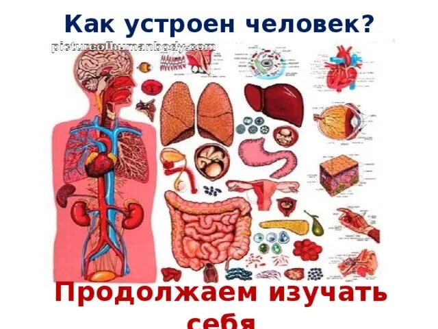 Как устроен другой человек