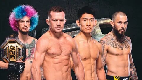 Ufc триста восемь прямой эфир