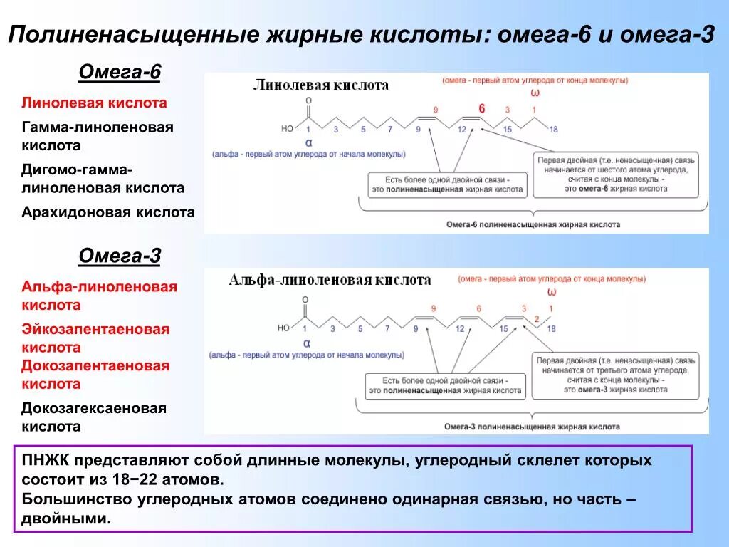 Линолевая кислота свойства. Линоленовая кислота Омега 6. Омега 3 Альфа линоленовая кислота. Полиненасыщенные жирные кислоты w-3 w-6 семейства. Омега 6 полиненасыщенные жирные кислоты.