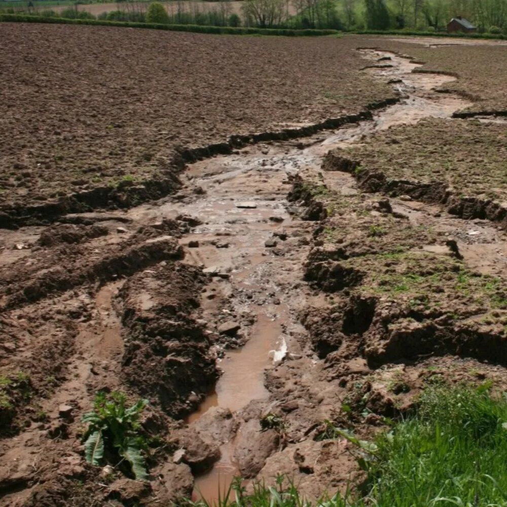 Механические воздействия на почву. Водная эрозия почв. Плоскостная эрозия почв. Водная и Ветровая эрозия. Дождевокапельная эрозия.