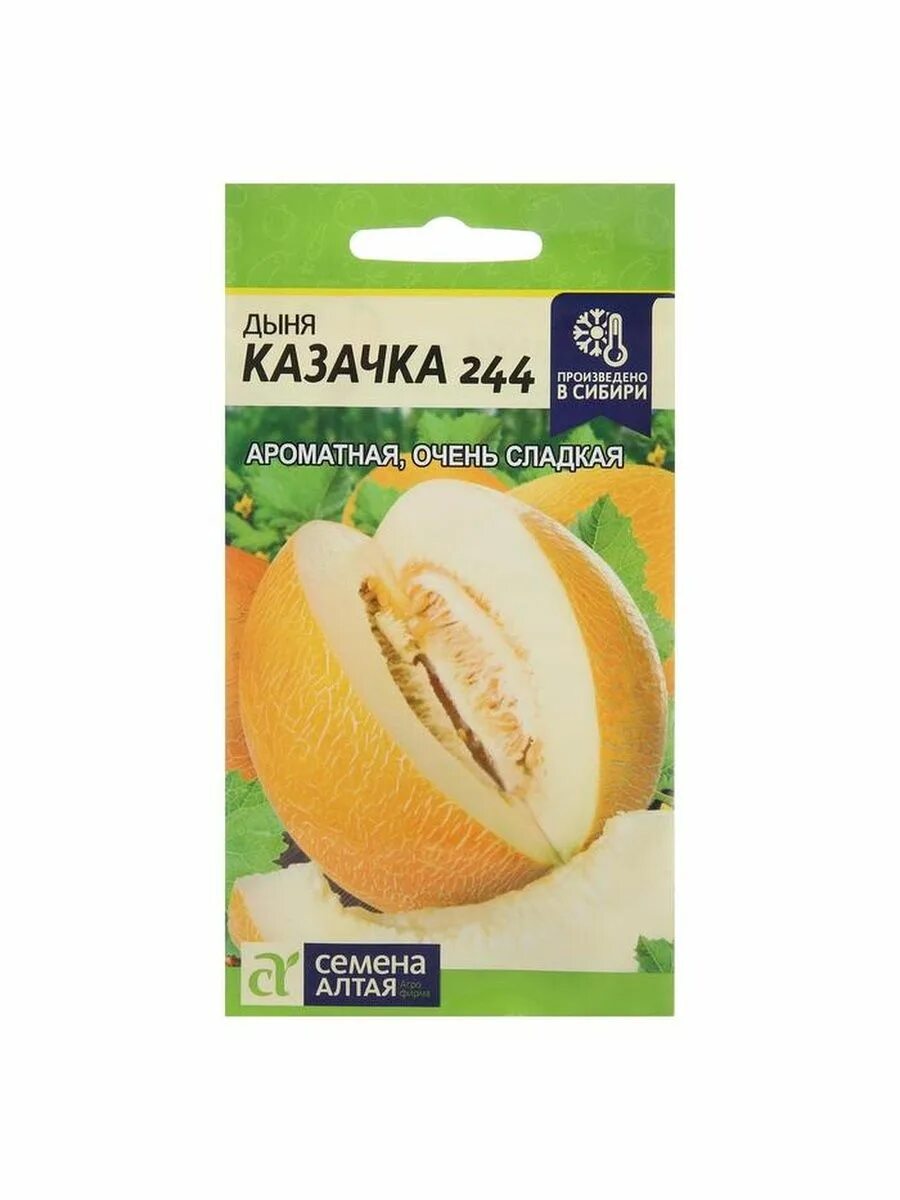Сорт дыни алтайская. Дыня казачка 244. дыня алтайская семена алтая. семена дыня казачка. семена дыня алтайская.
