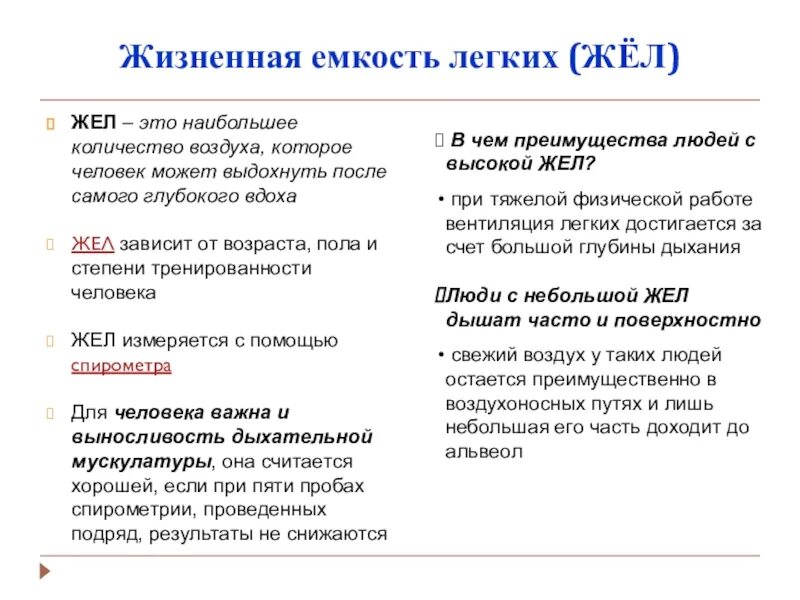 Лабораторная работа жизненная емкость легких 8 класс. Лабораторная работа жизненная емкость легких 8 класс