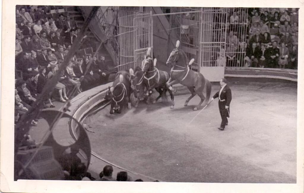 цирк в музее ярмарочного искусства. цирк был круглый большой у парадного. цирк был круглый большой у парадного. цирковой вагон. картина.