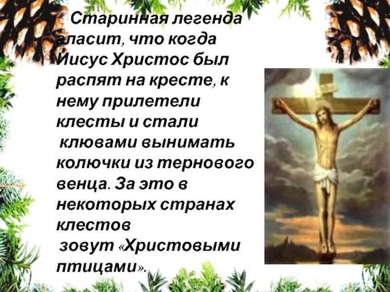 Обучающее изложение клесты 3 класс