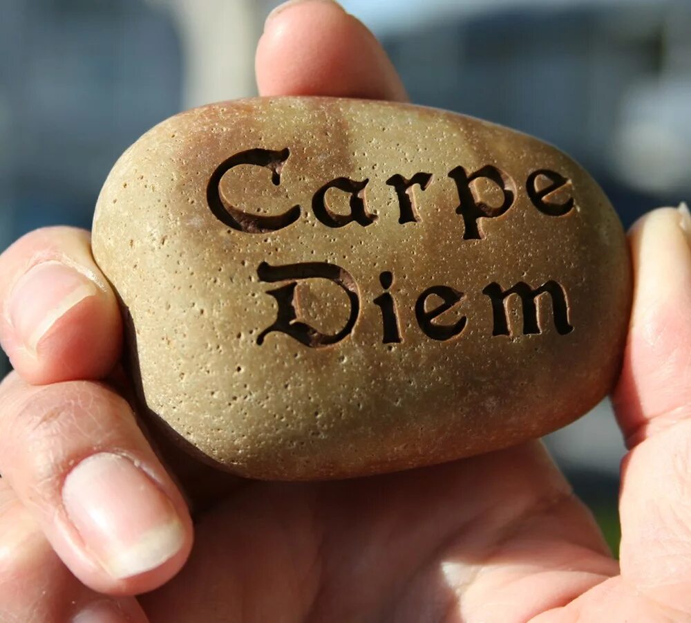 На баланс телефона перевести это куда. Тату с надписью carpe diem. Карпе дием. Carpe diem тату эскиз. Лови перевод.