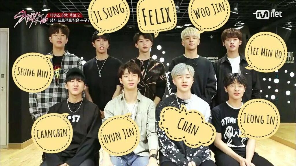 Stray kids top текст. Стрей как переводится. Группа stray kids. Stray kids перевод. Stray kids участники с именами.