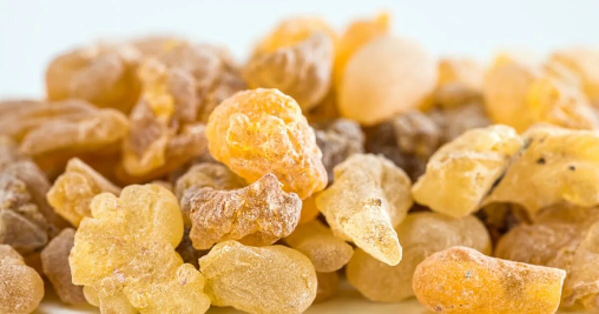 Босвеллия серрата. Босвеллия смола. Frankincense. Ладан смола. Босвеллия пильчатая ладан.