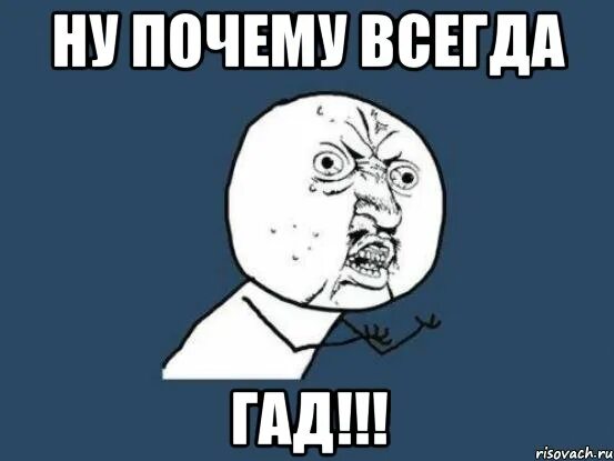 Почему ты всегда на работе. Гад Мем. Картинка ты гад. Ну ты гад Мем. Вот гад.