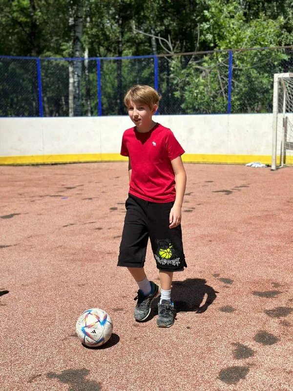 сокол класс отзывы