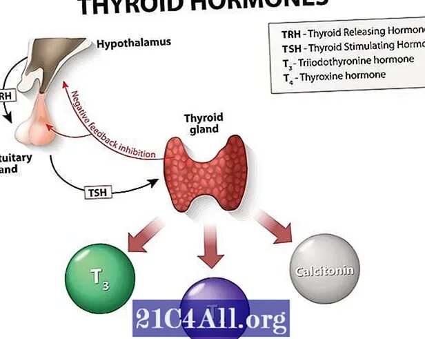 Т3 и т4 гормоны. Т3 и т4 гормоны функции. Т4 и т4 и соматотропин. Т3 и т4 гормоны щитовидной железы.