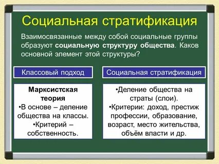 Что определяет деление общества на группы