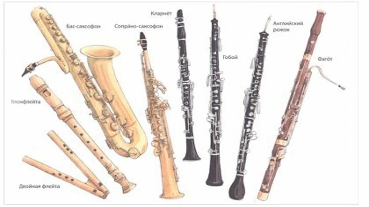 Гобой труба кларнет. Флейта гобой кларнет Фагот. Музыкальный инструмент духовой типа флейта. Флейта гобой кларнет Фагот саксофон. Фагот духовой музыкальный инструмент.
