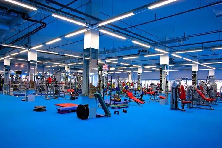 Точка силы воскресенск фитнес клуб. Фитнес хаус рыбацкое. Фитнес хаус тренажеры. Фитнес на дальневосточном спб. Фитнес хаус на хасанской 10.