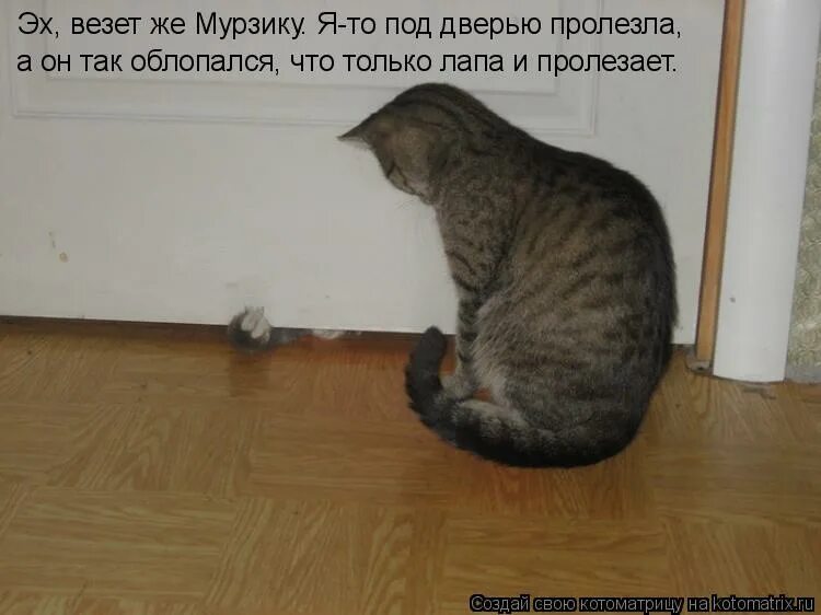 честный человек кому попало врать не станет. жизненные ситуации картинки. учитесь говорить нет. радостные высказывания. умейте говорить нет.