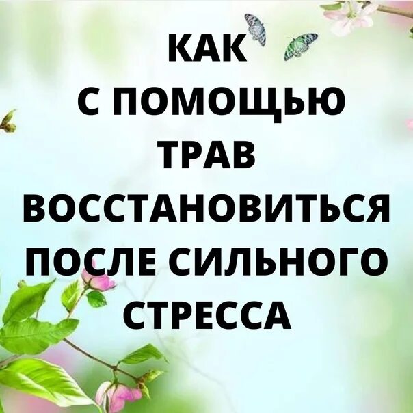 Как восстановиться после лета. Восстановление после сильного стресса. Сильный стресс как восстановиться. Как прийти в себя после сильного стресса. Как восстановить здоровье после сильного стресса.