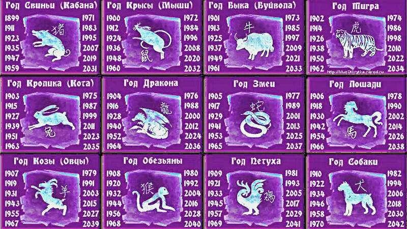 Есть китайский гороскоп. Знаки зодиака по годам. Гороскоп по годам рождения и знаку. Знаки восточного гороскопа по годам. Восточные знаки зодиака по годам.