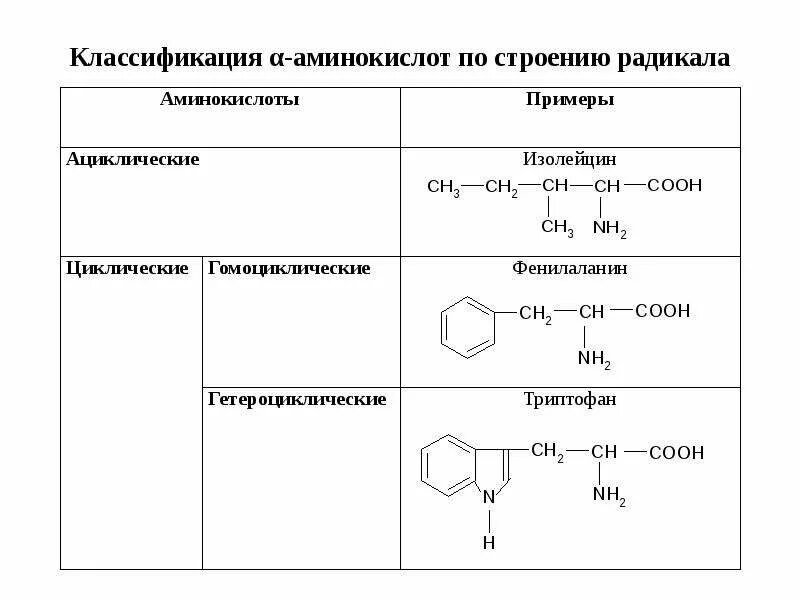 Структура аминокислот по строению радикала. Классификация Аминов по радикалу. Классификация Аминов по типу радикала. Классификация аминокислот по химической природе радикала.