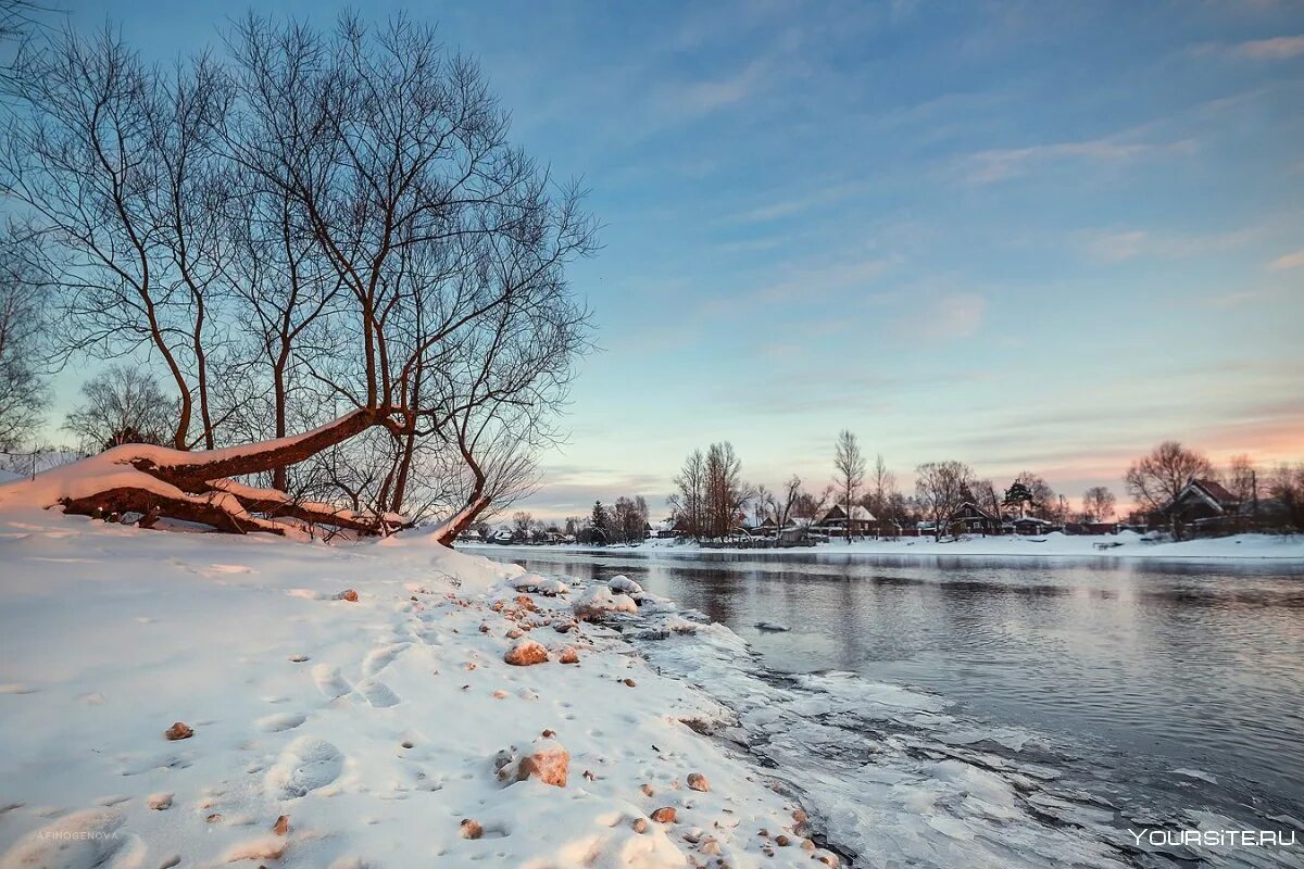 Зима берег реки. Зимнее озеро в лесу. Зима речка. Берега речки зимой. Зимняя речка.