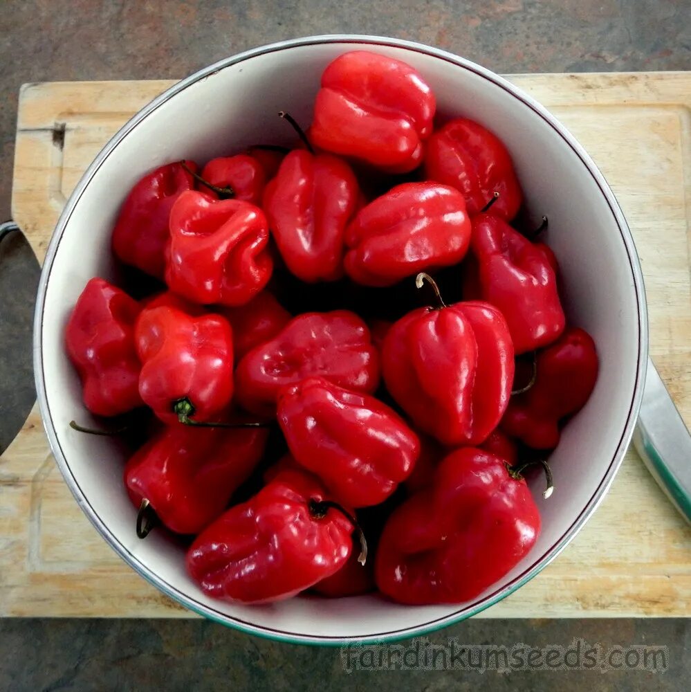 Красная савина. Хабанеро ред Савина. Habanero Red Savina перец. Habanero Red Savina острота. Habanero Red Savina сорт.