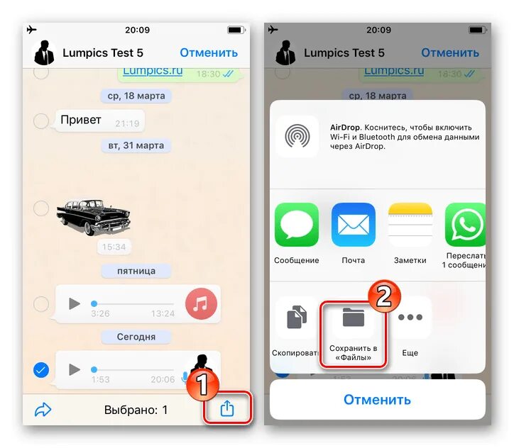Сохранить аудио сообщение. Ватсап файлы айфон. Архив в ватсапе на айфоне. Папка ватсап на айфоне. Где хранятся аудиозаписи WHATSAPP.