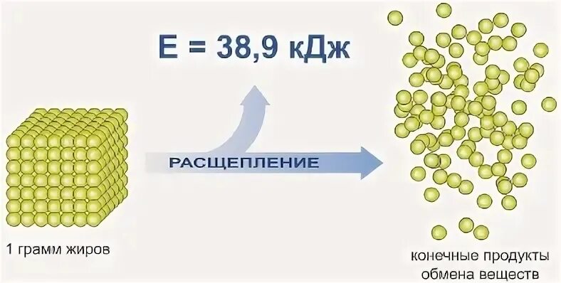 Жиры кдж г