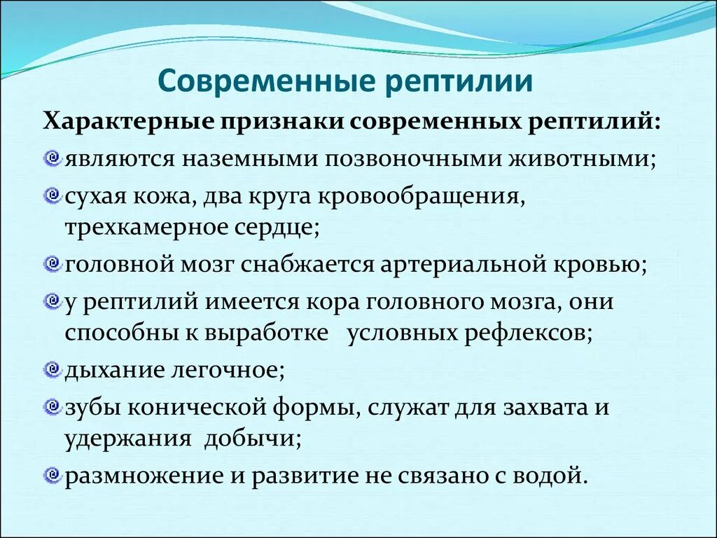 Выберите признаки характеризующие прогрессивное развитие рептилий. Признаки рептилий. Характерные признаки пресмыкающихся. Признаки характерные для рептилий. Отличительные особенности рептилий.