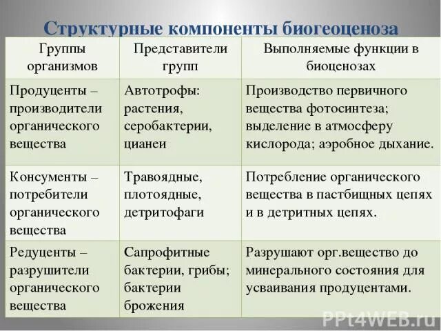 Таблица функциональные группы организмов. Структурные компоненты биогеоценоза. Компоненты биогеоценоза таблица. Компоненты экосистемы таблица. Функциональные группы организмов в экосистеме таблица.