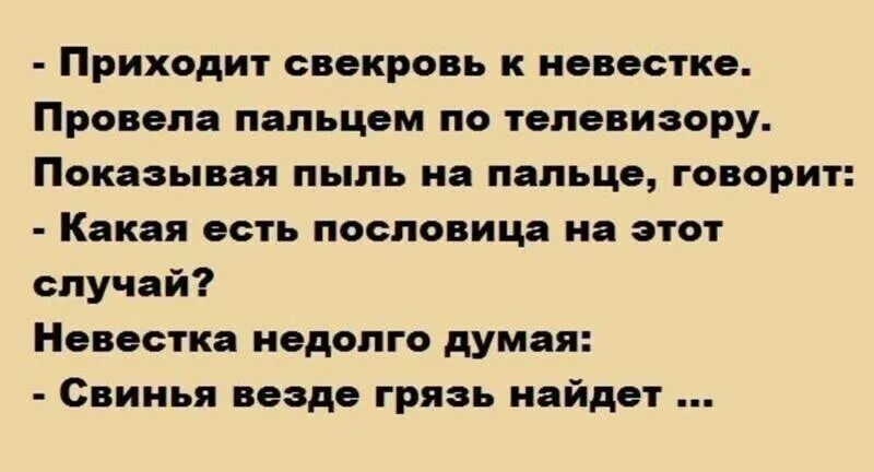 Сказала свекрови все что думает. Анекдоты про свекровь и невестку. Пословицы про свекровь и сноху. Анекдоты про свекровь и невестку смешные. Анекдот про свекровь свинья везде грязь найдет.