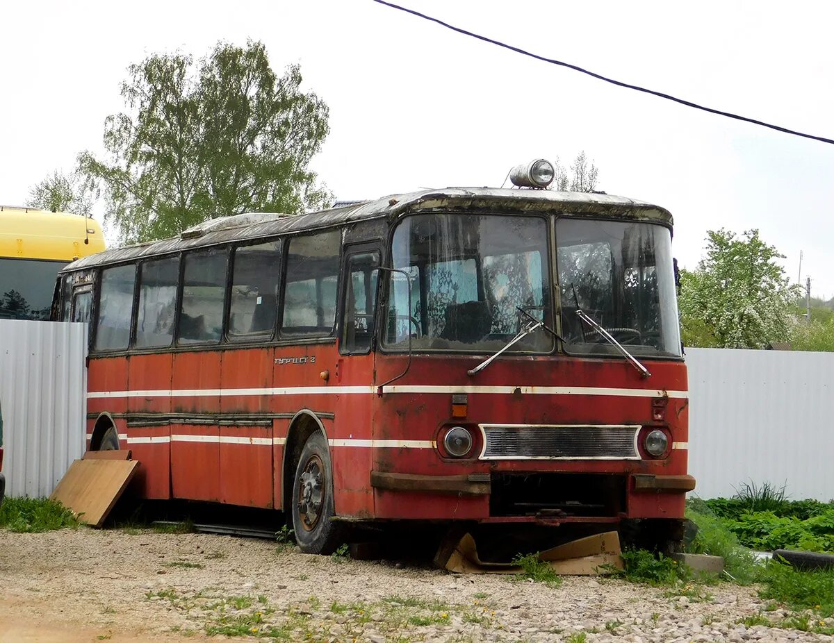 Автобус ЛАЗ 699. ЛАЗ-699 автобус дальнего следования. ЛАЗ 699р Калужская область. ЛАЗ-699 окраска.